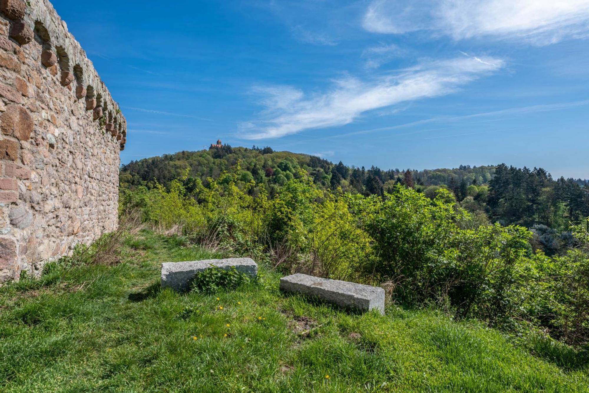 Ferienwohnung Drachenstein Weinheim Ngoại thất bức ảnh